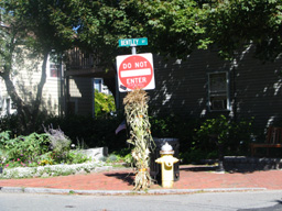 cornstalk tied to Do Not Enter sign