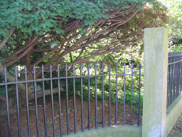 iron fence