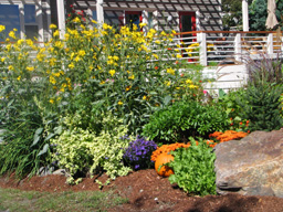 shoreside Garden