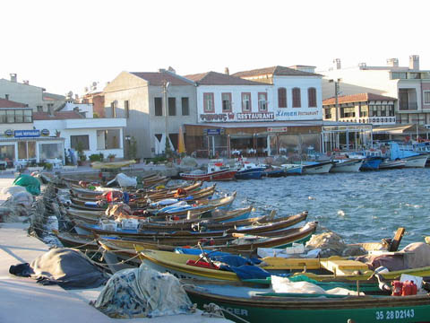 boats at dock