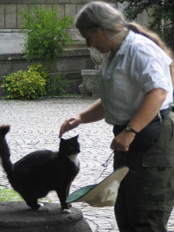 cat standing on cuneiform stone