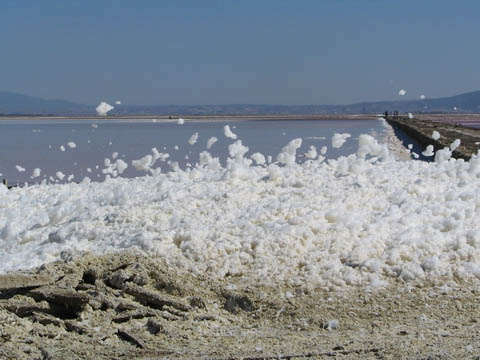 salt foam